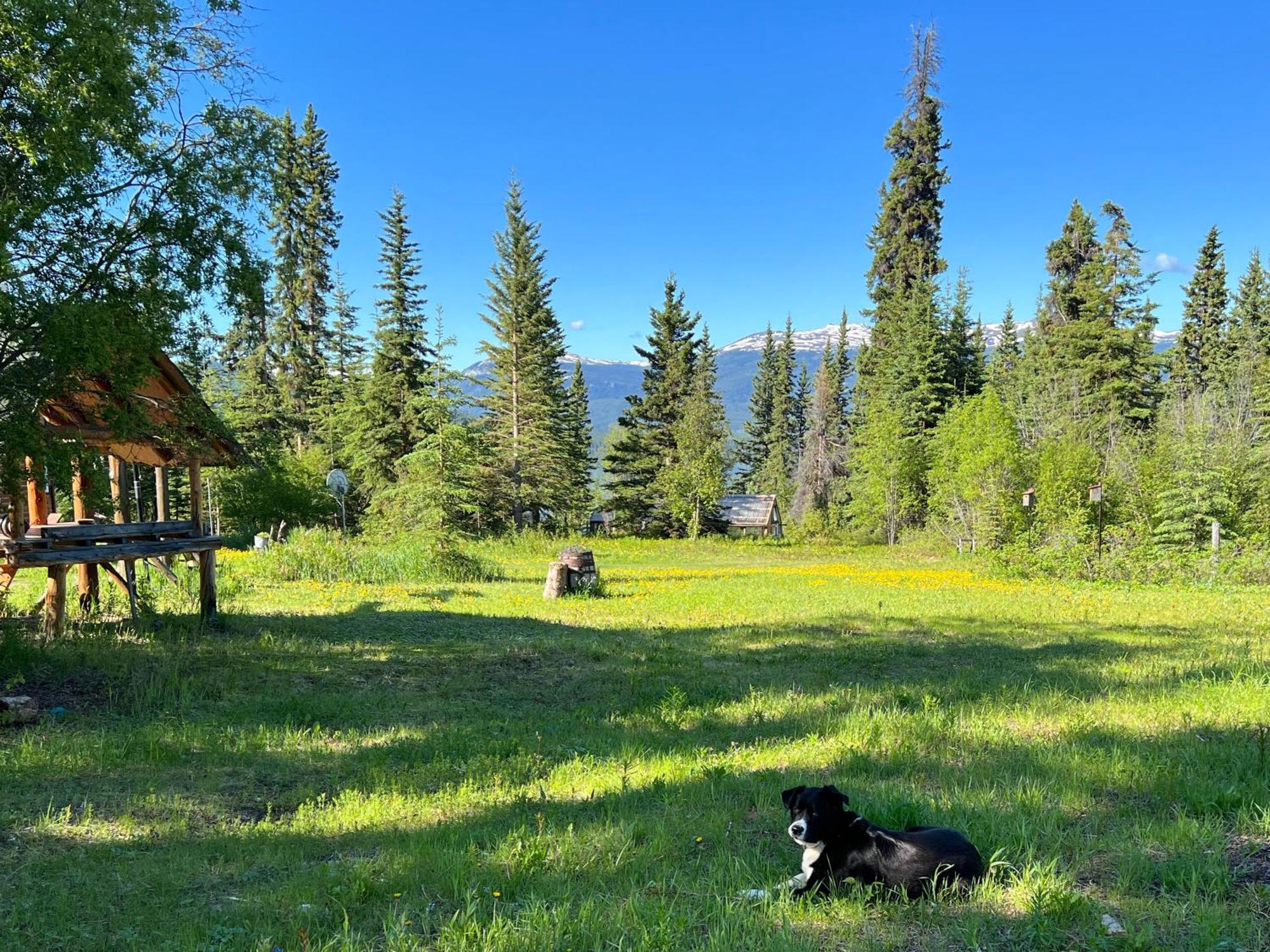 Little Atlin Lodge Tagish Luaran gambar